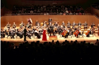 London Arte Chamber Orchestra