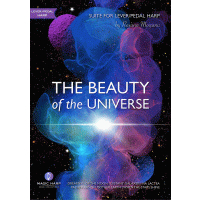 The Beauty of the Universe