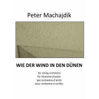 WIE DER WIND IN DEN DUENEN