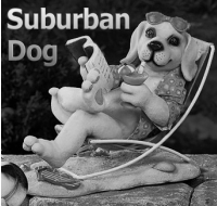 Suburban Dog