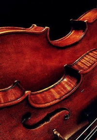 Violinspiration Duo