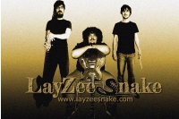 LayZeeSnake Trio