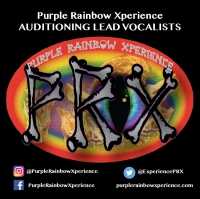 Purple Rainbow Xperience