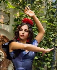 SpanishFlamencoDance