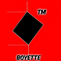 Boyette Records Inc.