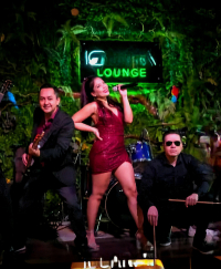 PULSE BAND