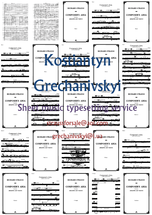 Click to download "R.Strauss.Composer's Aria from Ariadne auf Naxos.Parts" sheet music